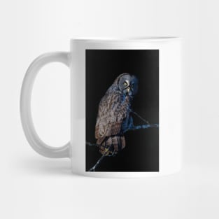 Spotlit - Great Grey Owl Mug